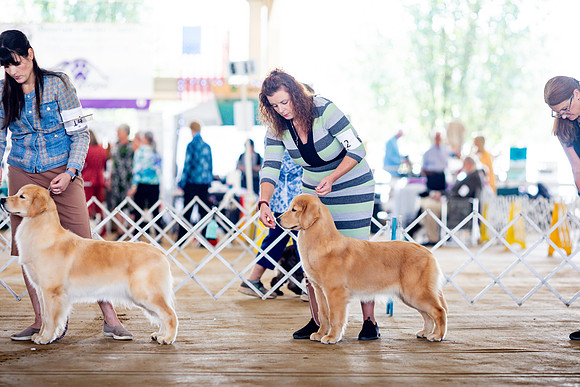 sara_kauss_photography_6181
