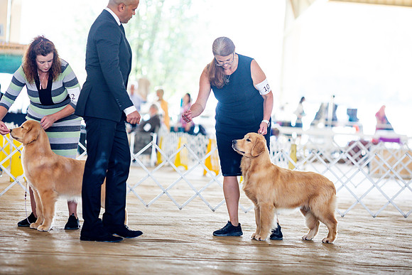 sara_kauss_photography_6184