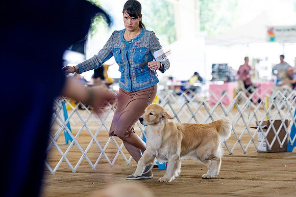 sara_kauss_photography_6193