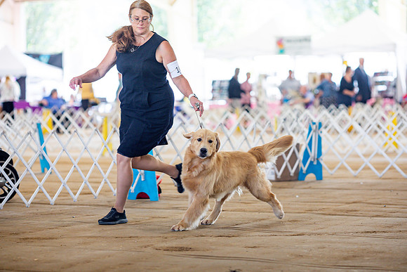 sara_kauss_photography_6195