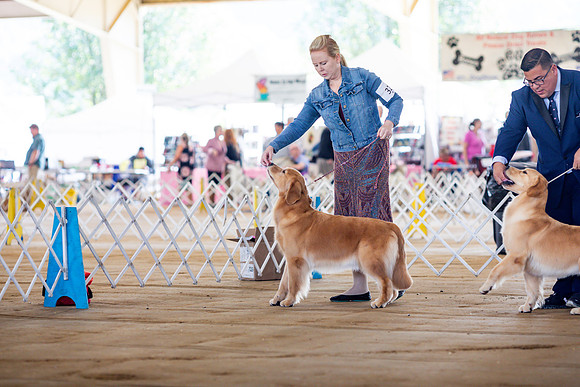 sara_kauss_photography_6198