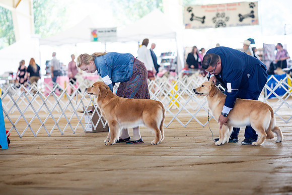 sara_kauss_photography_6199