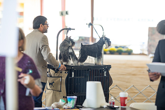 sara_kauss_photography_6220