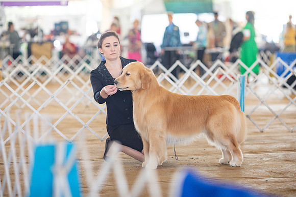 sara_kauss_photography_6229