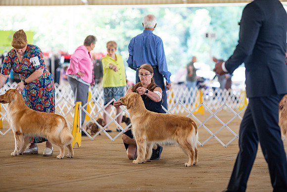 sara_kauss_photography_6225