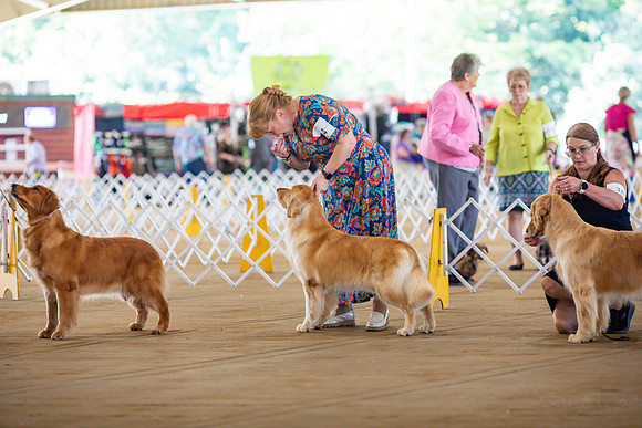 sara_kauss_photography_6237