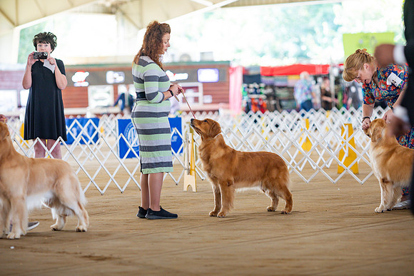 sara_kauss_photography_6238