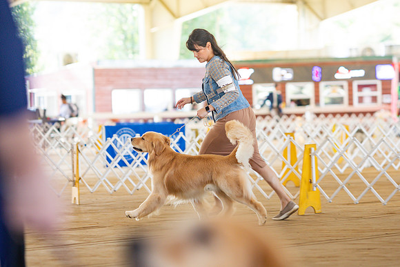 sara_kauss_photography_6255