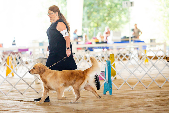 sara_kauss_photography_6262