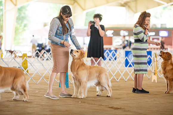sara_kauss_photography_6242