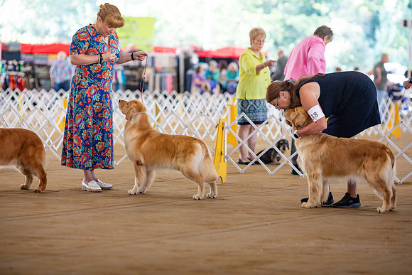 sara_kauss_photography_6243
