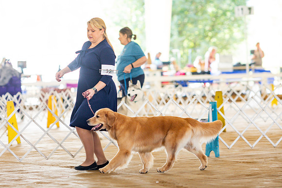 sara_kauss_photography_6267