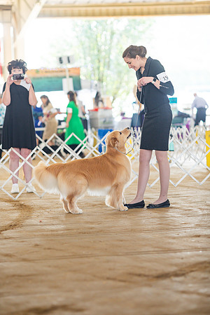 sara_kauss_photography_6288