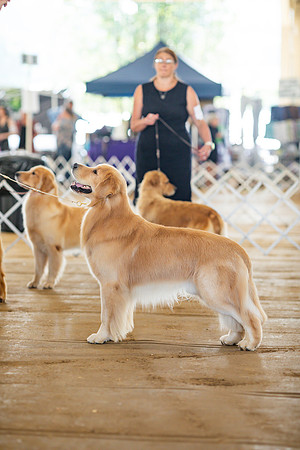 sara_kauss_photography_6291
