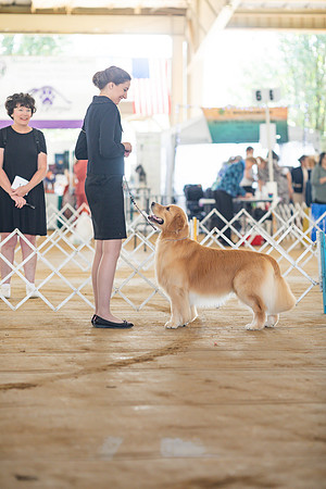 sara_kauss_photography_6292