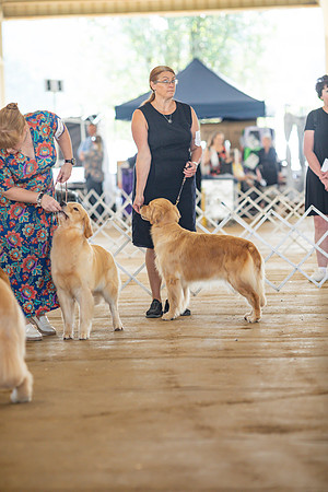 sara_kauss_photography_6298