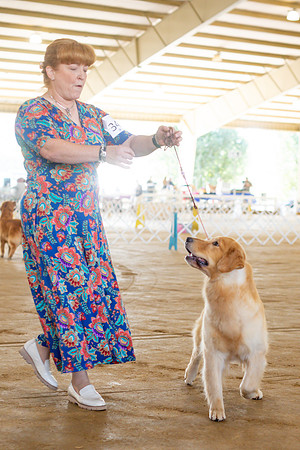 sara_kauss_photography_6303