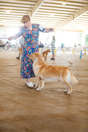 sara_kauss_photography_6304