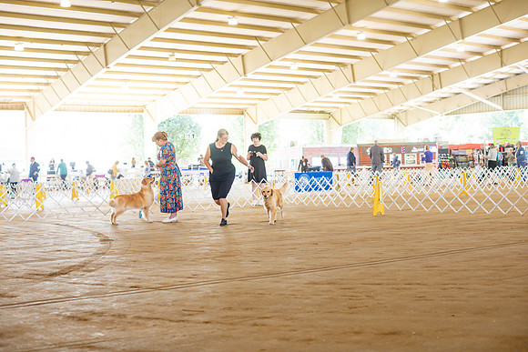 sara_kauss_photography_6314