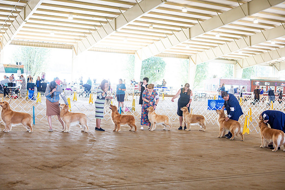 sara_kauss_photography_6341