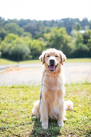sara_kauss_photography_6549
