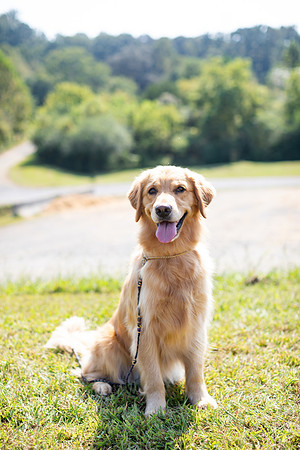 sara_kauss_photography_6585