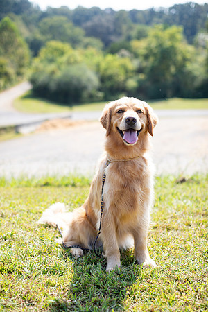 sara_kauss_photography_6590