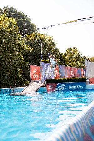 sara_kauss_photography_6651