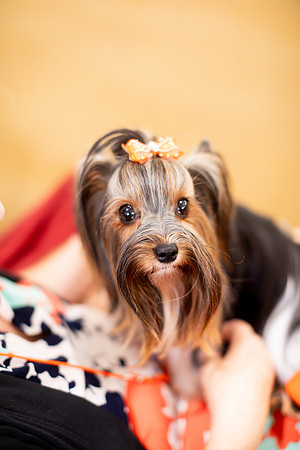 sara_kauss_photography_6748