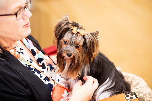sara_kauss_photography_6749