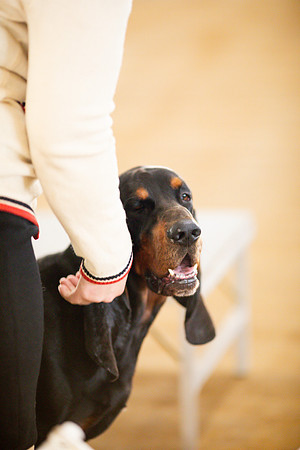 sara_kauss_photography_6770