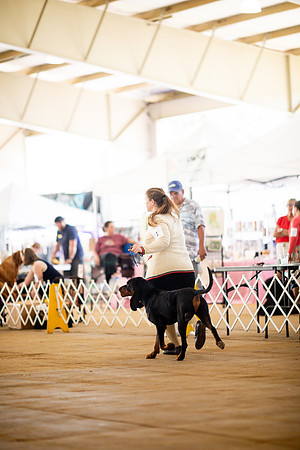 sara_kauss_photography_6789
