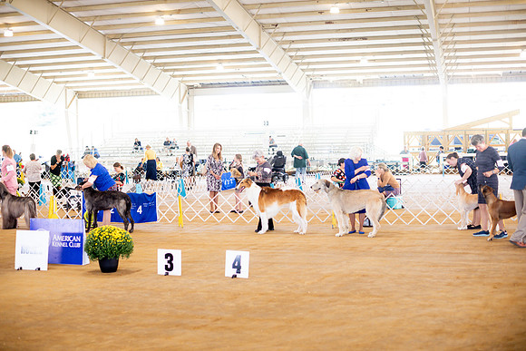 sara_kauss_photography_6810
