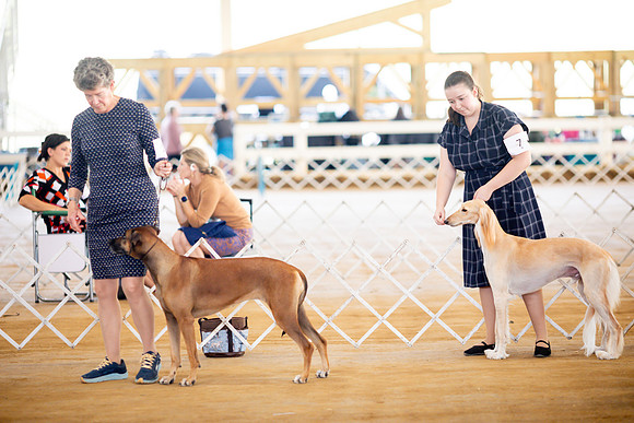 sara_kauss_photography_6820