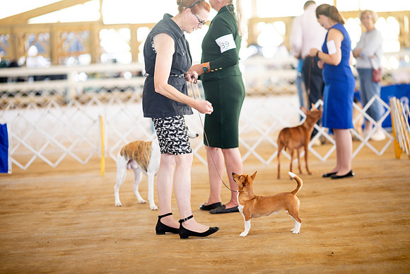 sara_kauss_photography_6836
