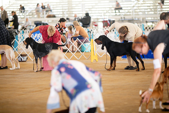 sara_kauss_photography_6843