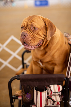 sara_kauss_photography_6860