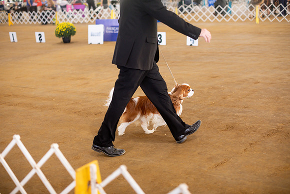 sara_kauss_photography_6862