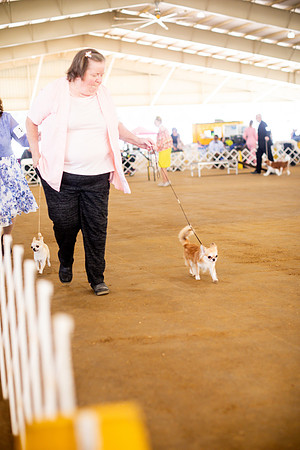 sara_kauss_photography_6878