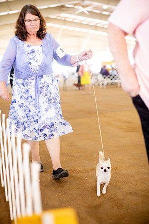 sara_kauss_photography_6880