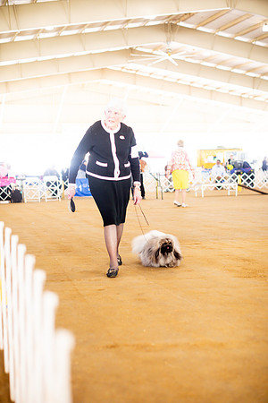 sara_kauss_photography_6882