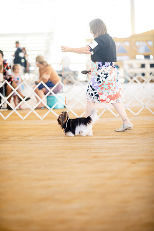 sara_kauss_photography_6888