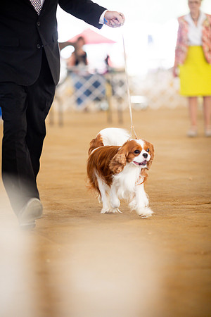 sara_kauss_photography_6895