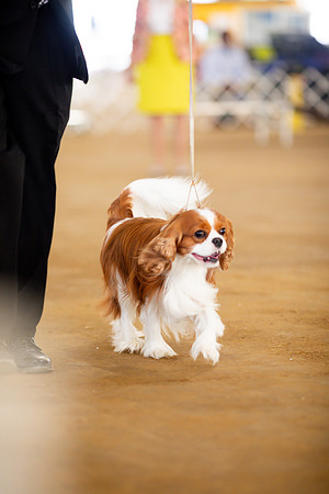 sara_kauss_photography_6896