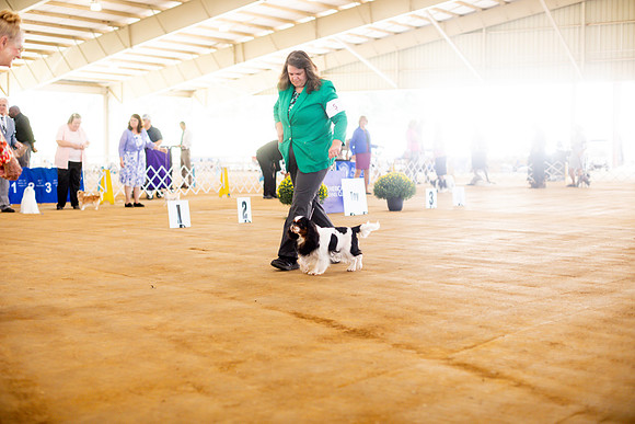 sara_kauss_photography_6938
