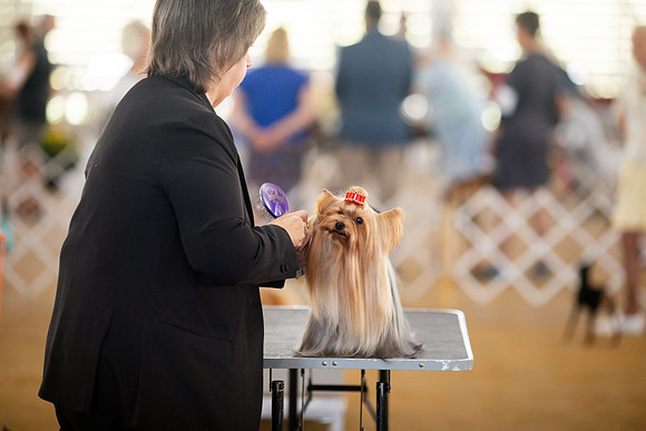 sara_kauss_photography_6962