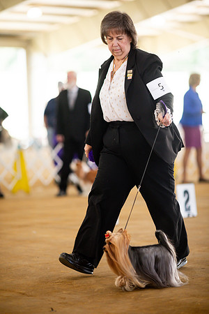 sara_kauss_photography_6974