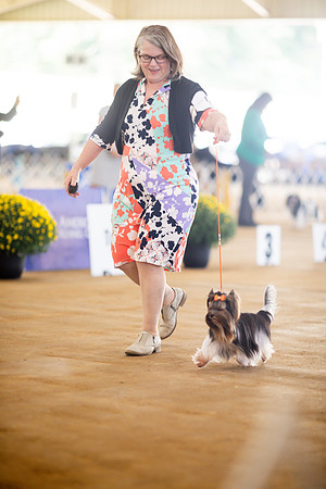 sara_kauss_photography_7002