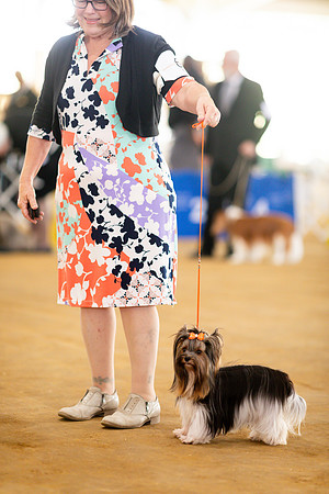 sara_kauss_photography_7007