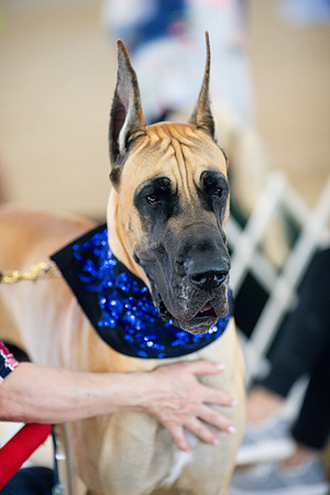 sara_kauss_photography_7048